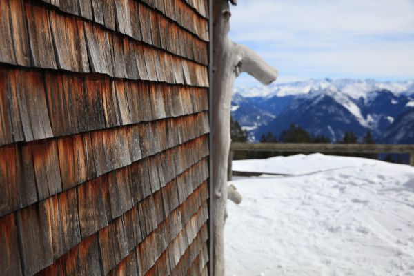 Cedar Siding Repair in Ballwin