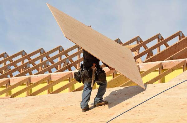 Plywood Installation
